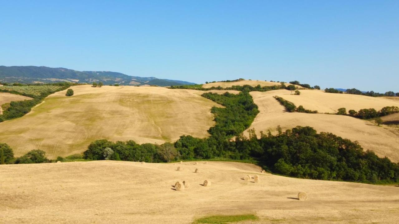 Glamping Le Dune Cinigiano Buitenkant foto