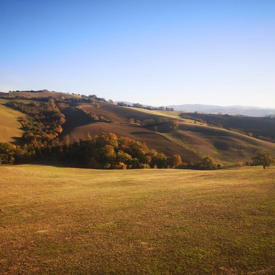 Glamping Le Dune Cinigiano Buitenkant foto