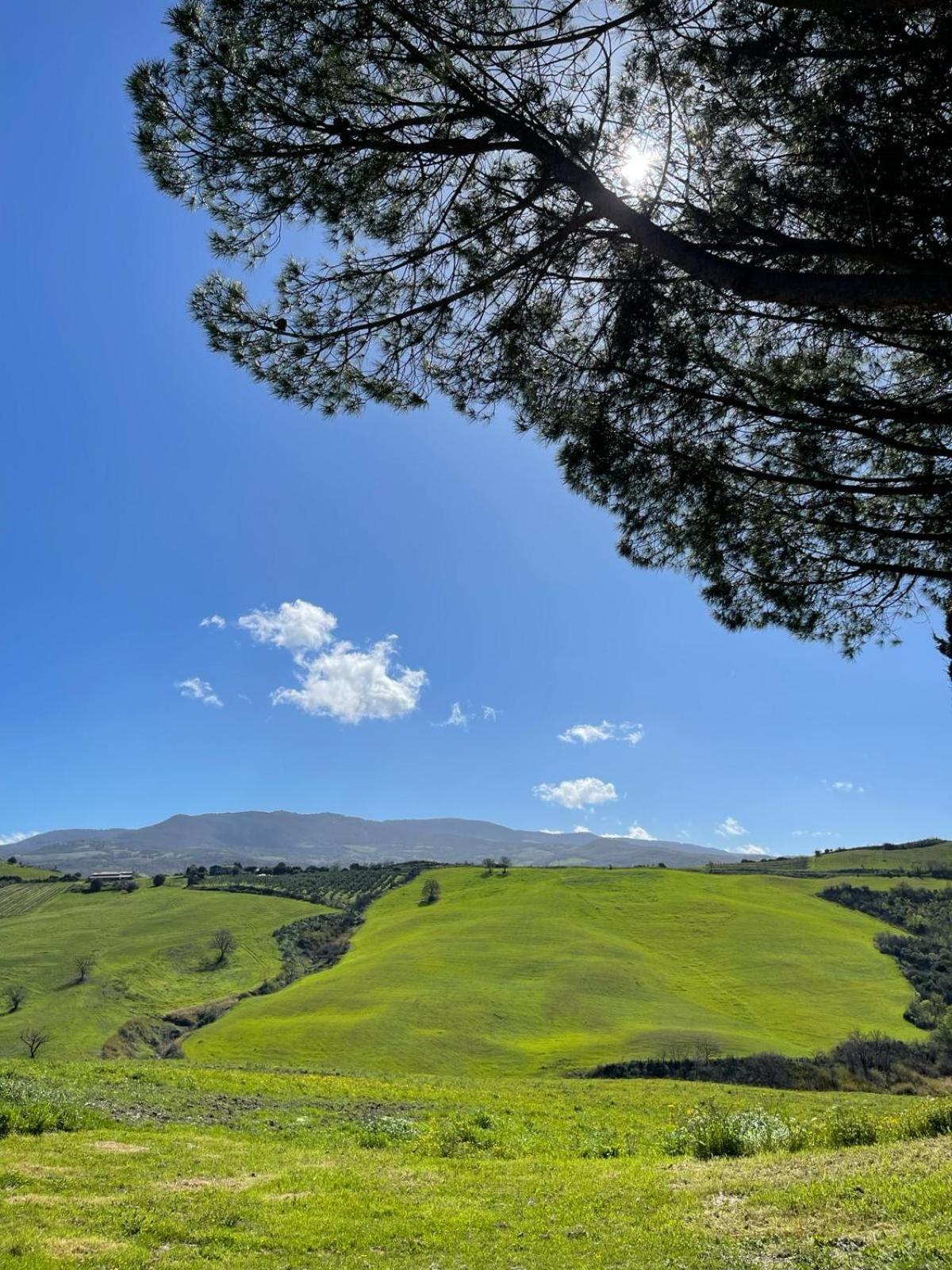 Glamping Le Dune Cinigiano Buitenkant foto